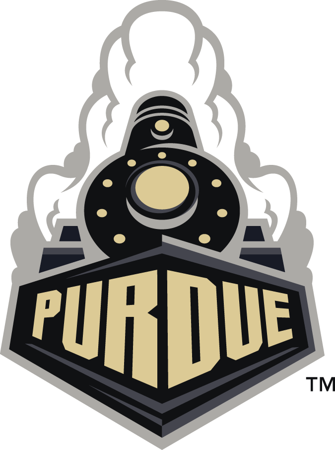 Purdue Boilermakers 2012-Pres Alternate Logo v2 diy fabric transfer